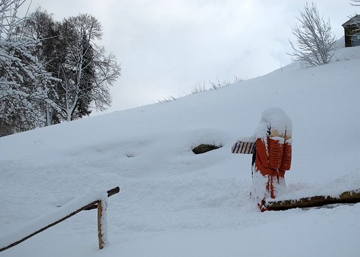 Wintergr&uuml;&szlig;e