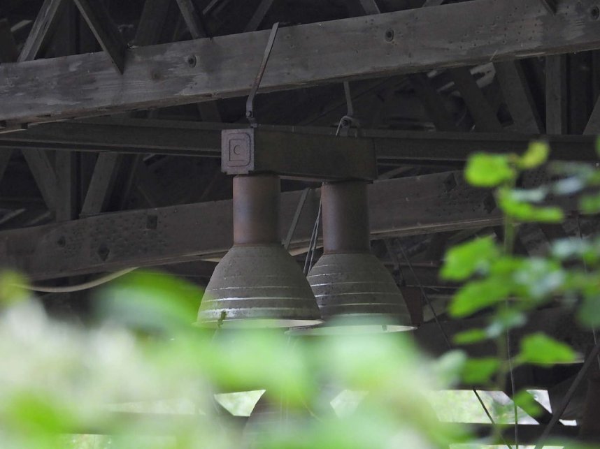 Am Einfluss der Wieda in die Zorge
