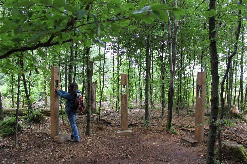 Naturmythenpfad im Nationalpark Harz