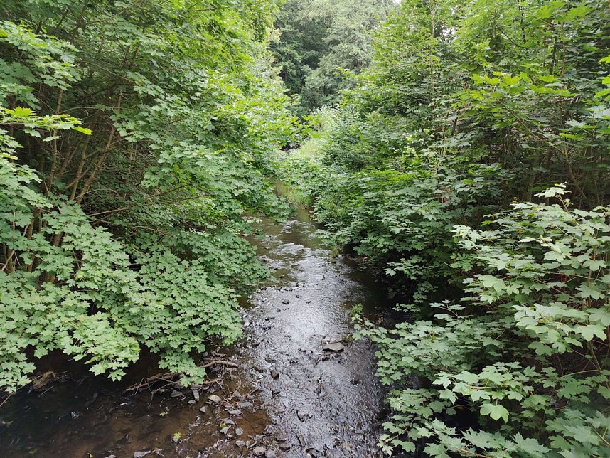 Vom M&auml;gdesprung zum Waldgagsthof