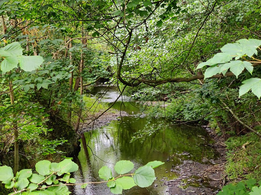 Vom M&auml;gdesprung zum Waldgagsthof