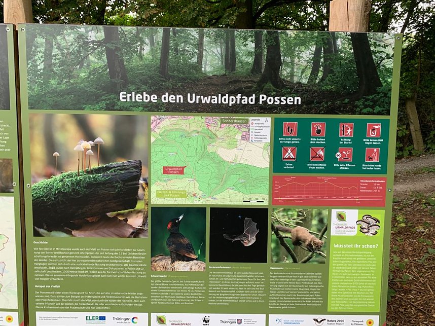 Dr. Anton Hofreiter auf seiner Sommertour in Sondershausen