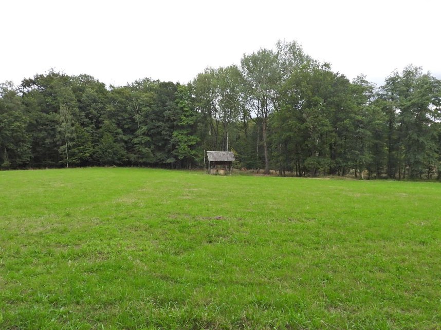 Ungew&ouml;hnliche An- und Aussichten bei Herrmannsacker