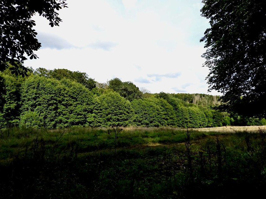 Ungew&ouml;hnliche An- und Aussichten bei Herrmannsacker