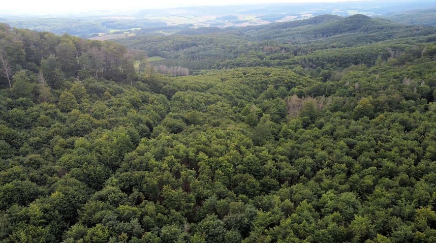 Ungew&ouml;hnliche An- und Aussichten bei Herrmannsacker
