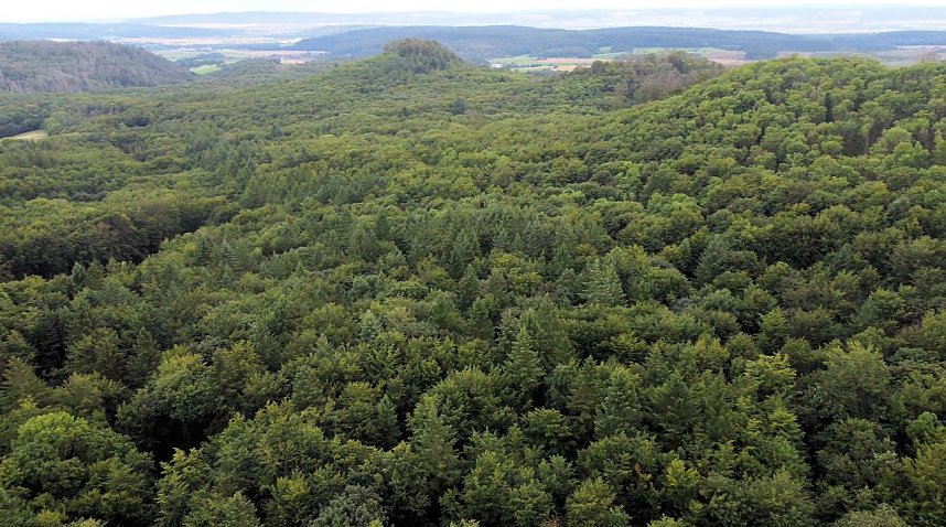 Ungew&ouml;hnliche An- und Aussichten bei Herrmannsacker