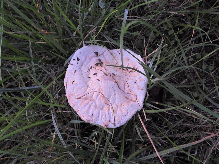 Impressionen am Sonntagabend