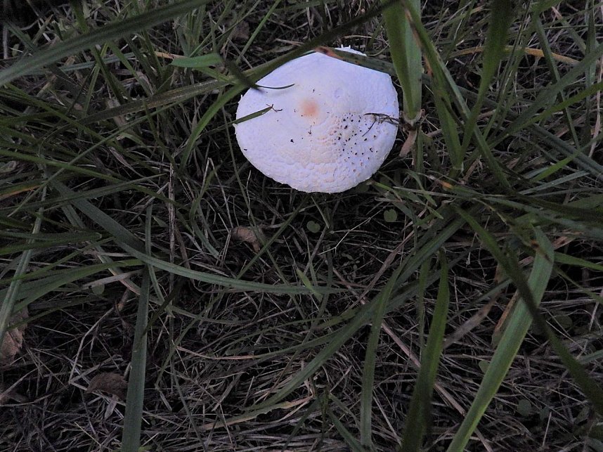 Impressionen am Sonntagabend