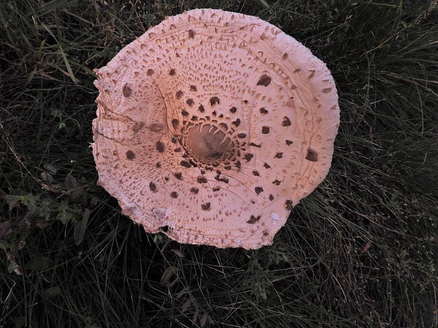 Impressionen am Sonntagabend