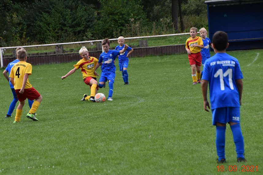 Wackers E 2 mit Kantersieg in Ebeleben