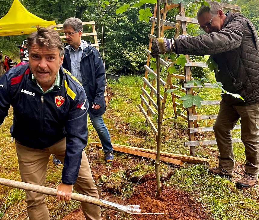 Baumpflanzung im Harz v. links Patrick Kurth- FDP-Direktkandidat; Kreischef FDP Nordhausen Claus-Peter Ro&szlig;berg (Mitte)