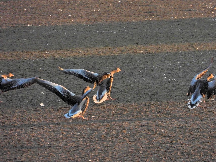Peter Blei unterwegs am Stausee Kelbra