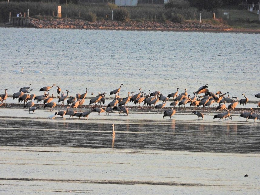 Peter Blei unterwegs am Stausee Kelbra