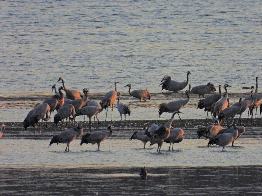 Peter Blei unterwegs am Stausee Kelbra