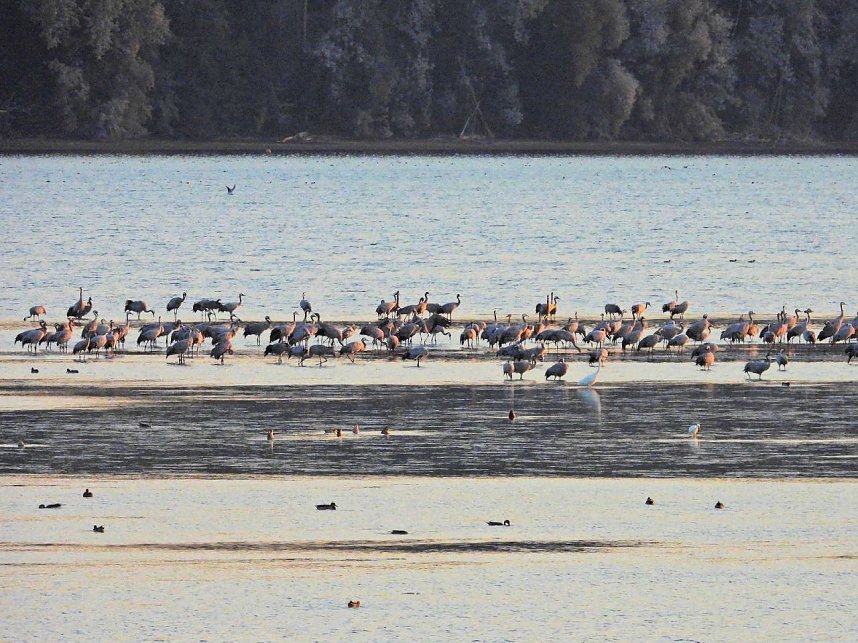 Peter Blei unterwegs am Stausee Kelbra