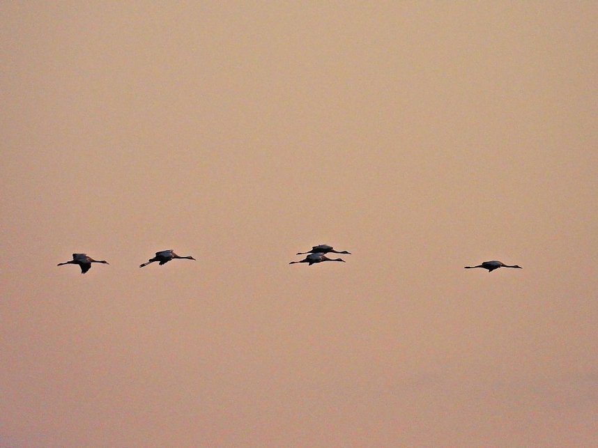 Peter Blei unterwegs am Stausee Kelbra