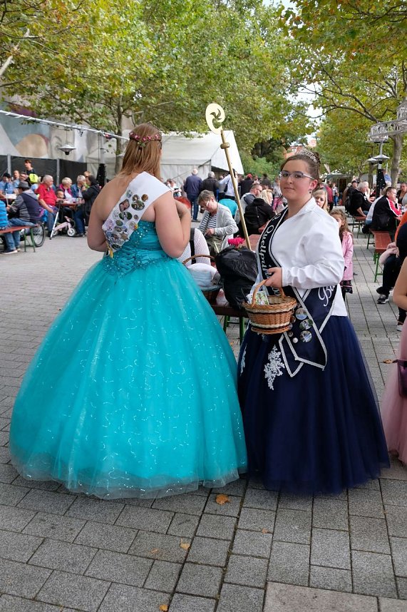 Zwiebelmarkt in Artern