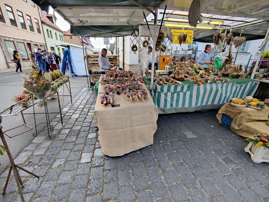 Zwiebelmarkt in Artern