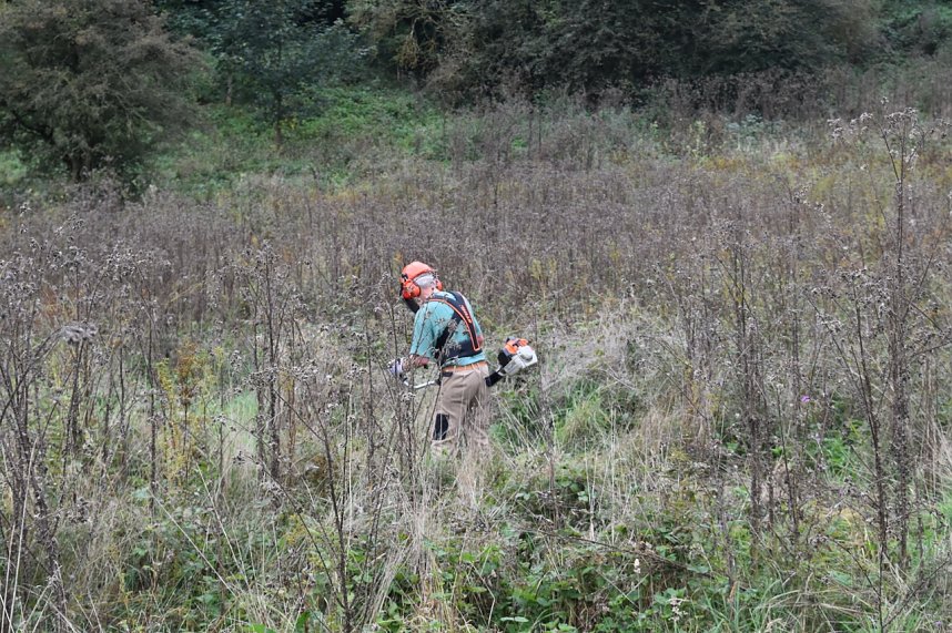122. Artenschutzeinsatz des BUND-Kreisverbandes
