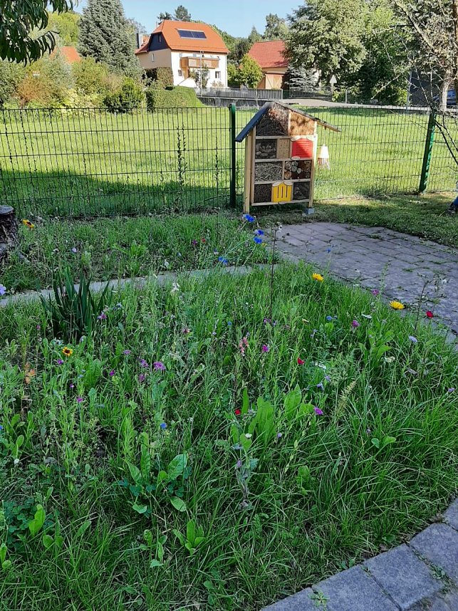 Aufregende Tag bei den Hohensteiner Burgspatzen