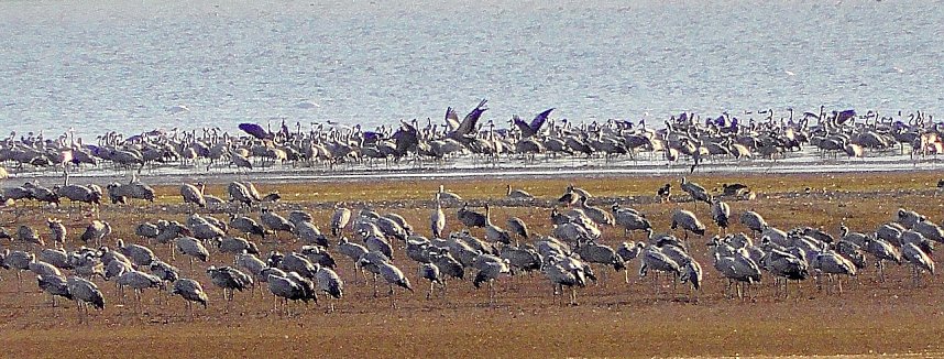 Sie fliegen wieder ein