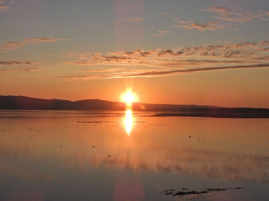 Tausende Kraniche im Anflug
