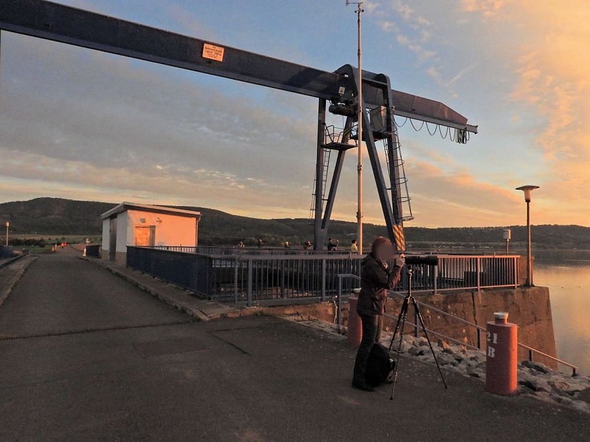 Tausende Kraniche im Anflug