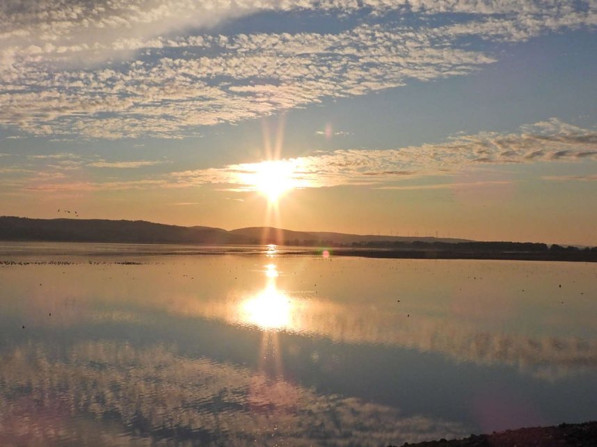 Tausende Kraniche im Anflug