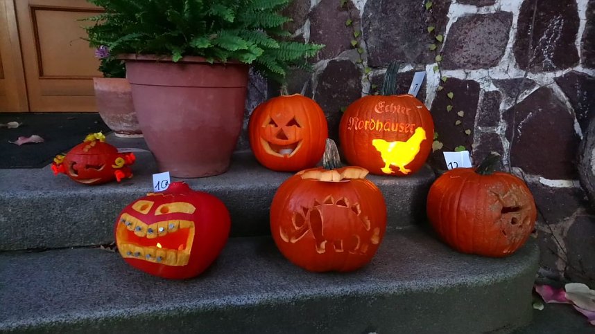 Mit sch&ouml;n geschnitzten K&uuml;rbissen startet man am Domschl&ouml;sschen in den Herbst