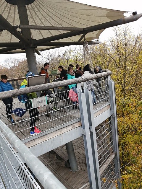 Ferienspiele des Kreissportbundes