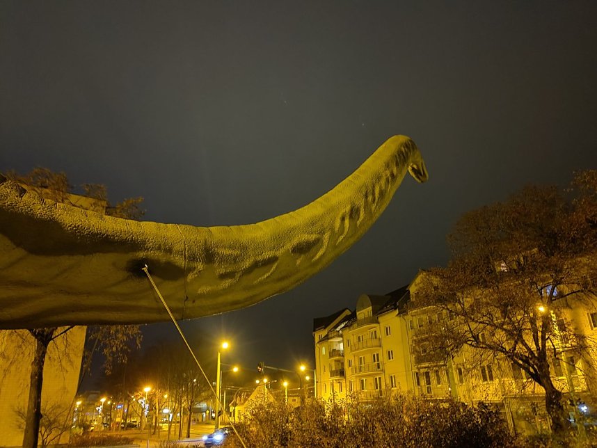 Der Nordh&auml;user Weihnachtsbaum und andere Motive