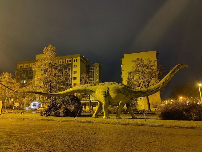 Der Nordh&auml;user Weihnachtsbaum und andere Motive