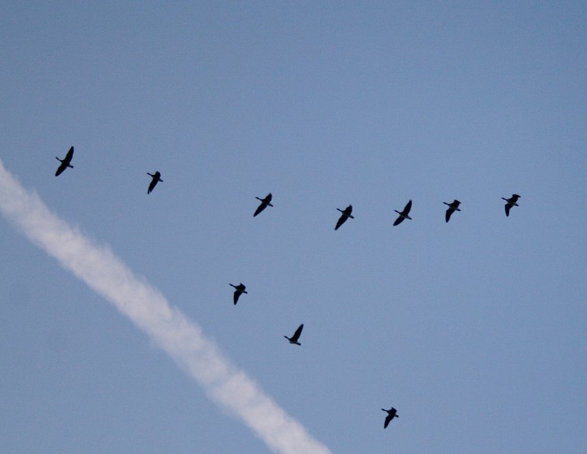 Der Winter h&auml;lt Einzug in der Goldenen Aue