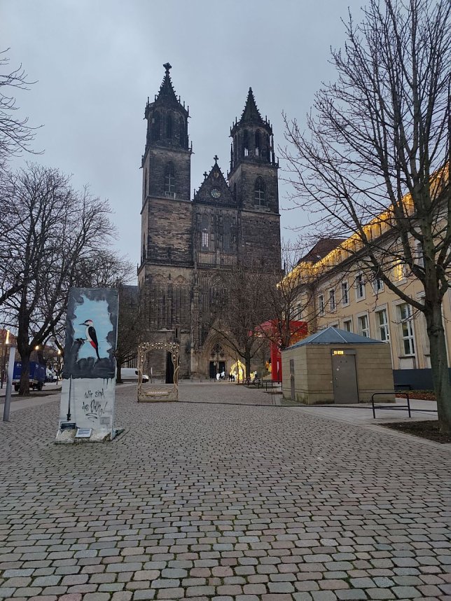 Weihnachtliches Magdeburg