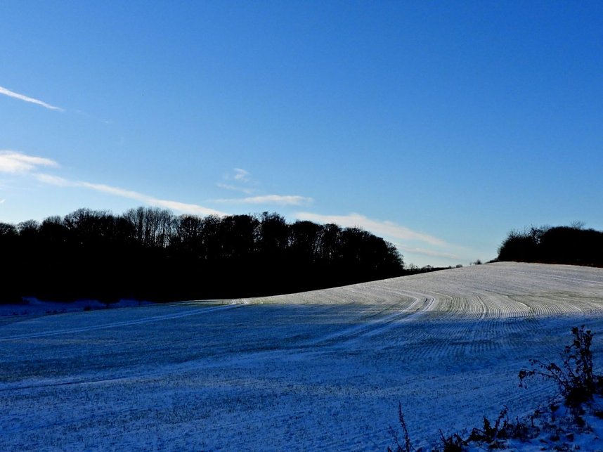 Winterspaziergang am Rosenteich