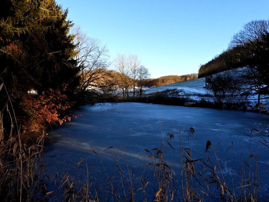 Winterspaziergang am Rosenteich