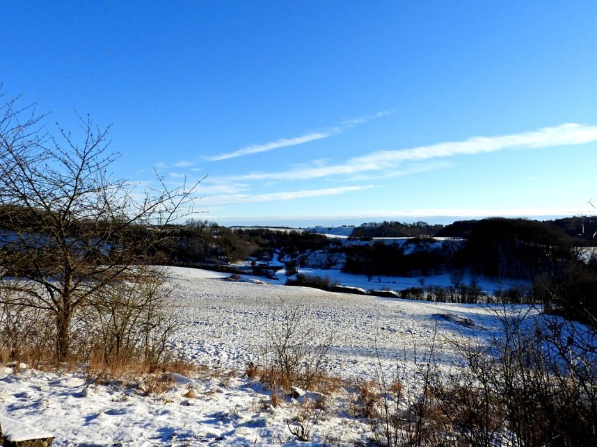 Winterspaziergang am Rosenteich