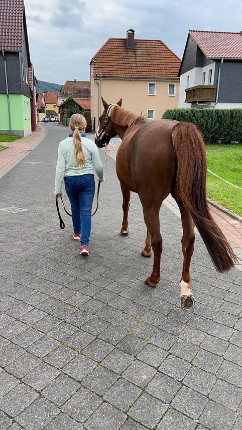 Auf's Treppchen gesprungen: Lilly Charlott Freitag auf Nathalie