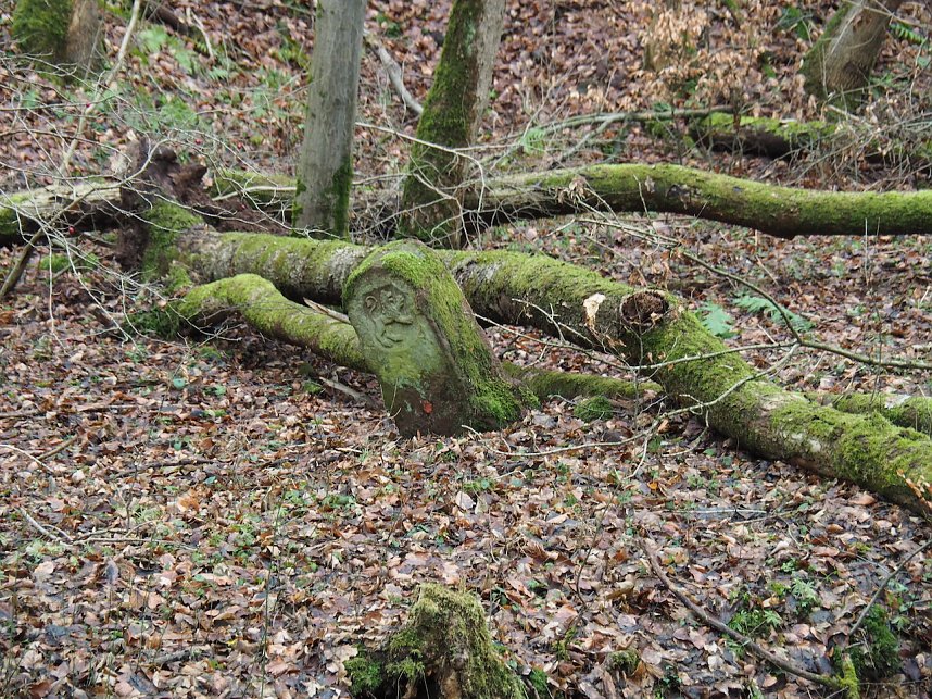 Ausflug zur Talsperre Neustadt