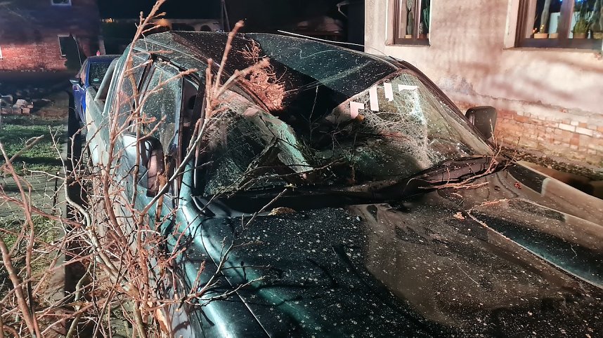 Morscher Baum begrub zwei Fahrzeuge unter sich