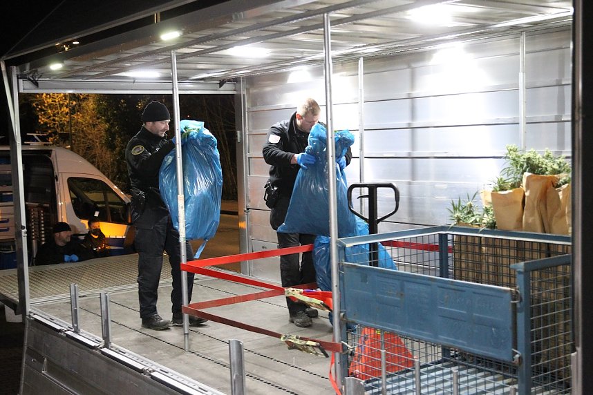 Bei einem Gro&szlig;einsatz in Sondershausen konnte die Polizei eine Cannabis-Plantage ausheben