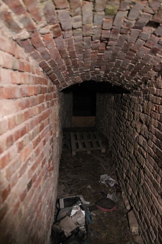 Bei einem Gro&szlig;einsatz in Sondershausen konnte die Polizei eine Cannabis-Plantage ausheben