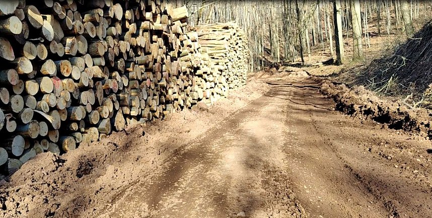 Peter Blei unterwegs bei Neustadt