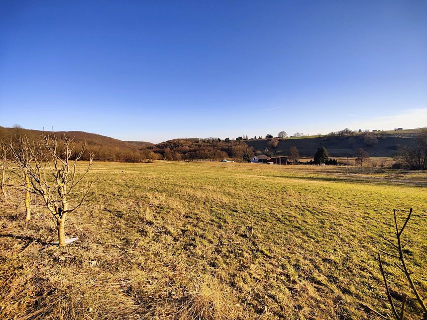 Peter Blei unterwegs bei Neustadt