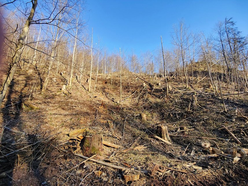 Peter Blei unterwegs bei Neustadt