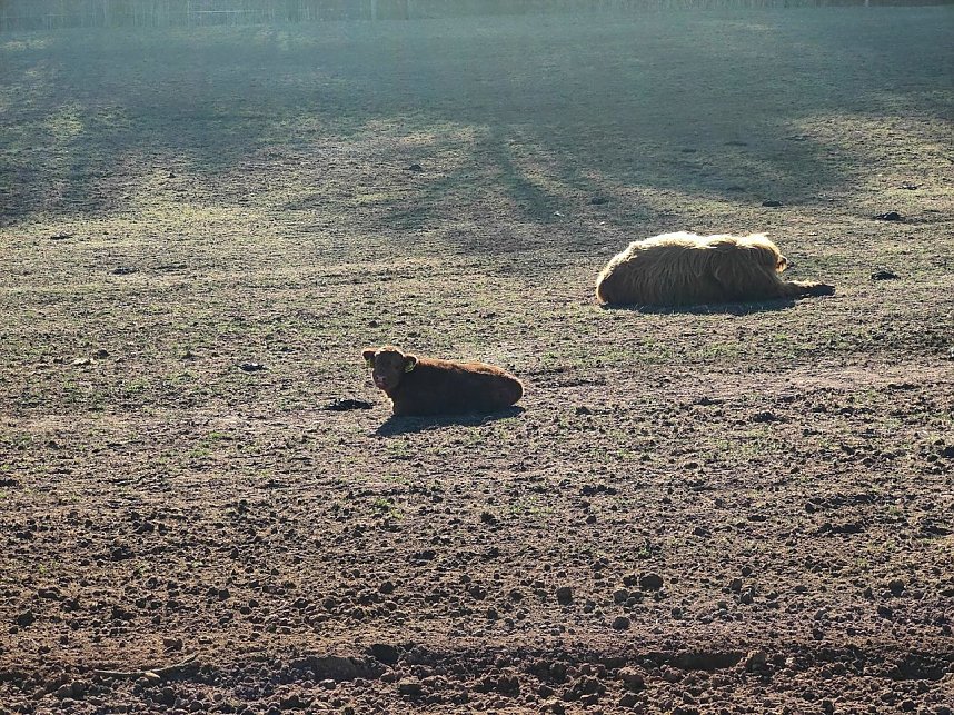 Peter Blei unterwegs bei Neustadt