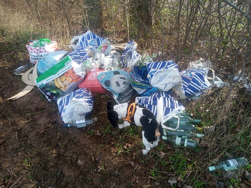 M&uuml;llfund auf dem Weg nach Bielen