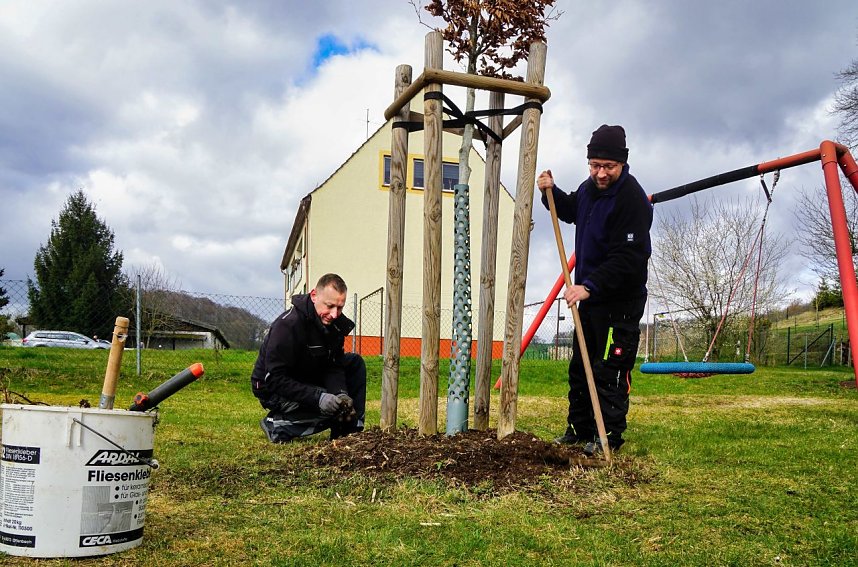 Fr&uuml;hjahrsputz in Harztor