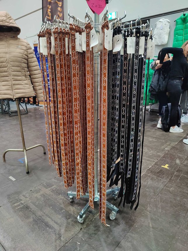 Peter Blei unterwegs auf der "Partner Pferd" in Leipzig