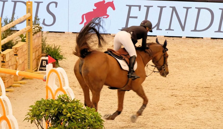 Peter Blei unterwegs auf der "Partner Pferd" in Leipzig